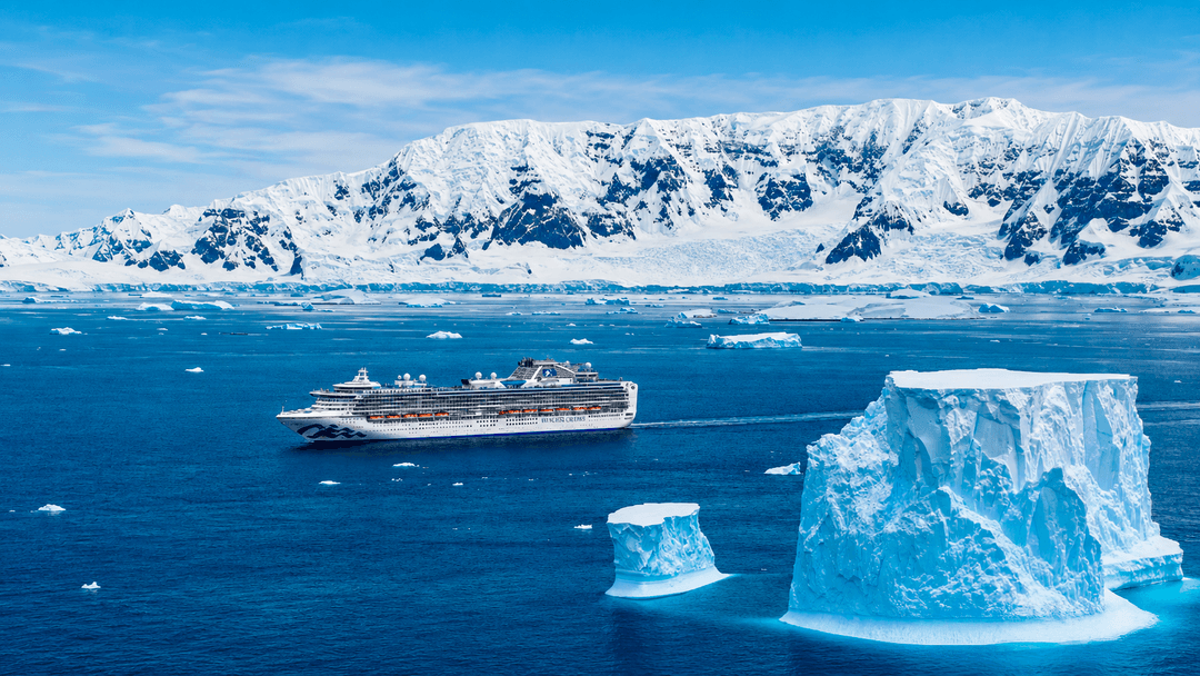 CRUCERO ANTARTIDA  & ISLAS MALVINAS